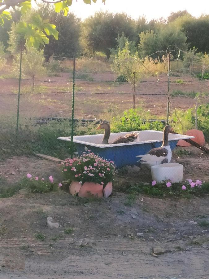 Myparadise-Farm Villa In The Centre Of South Crete Kalamaki  Exterior photo